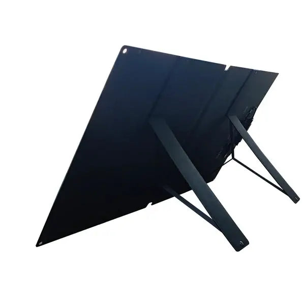 ALLPOWERS R1500 LITE + SOLAX SE100 100W  zonnepaneel Zonnegeneratorset 1600W